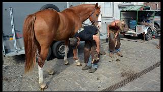 namur1509130037